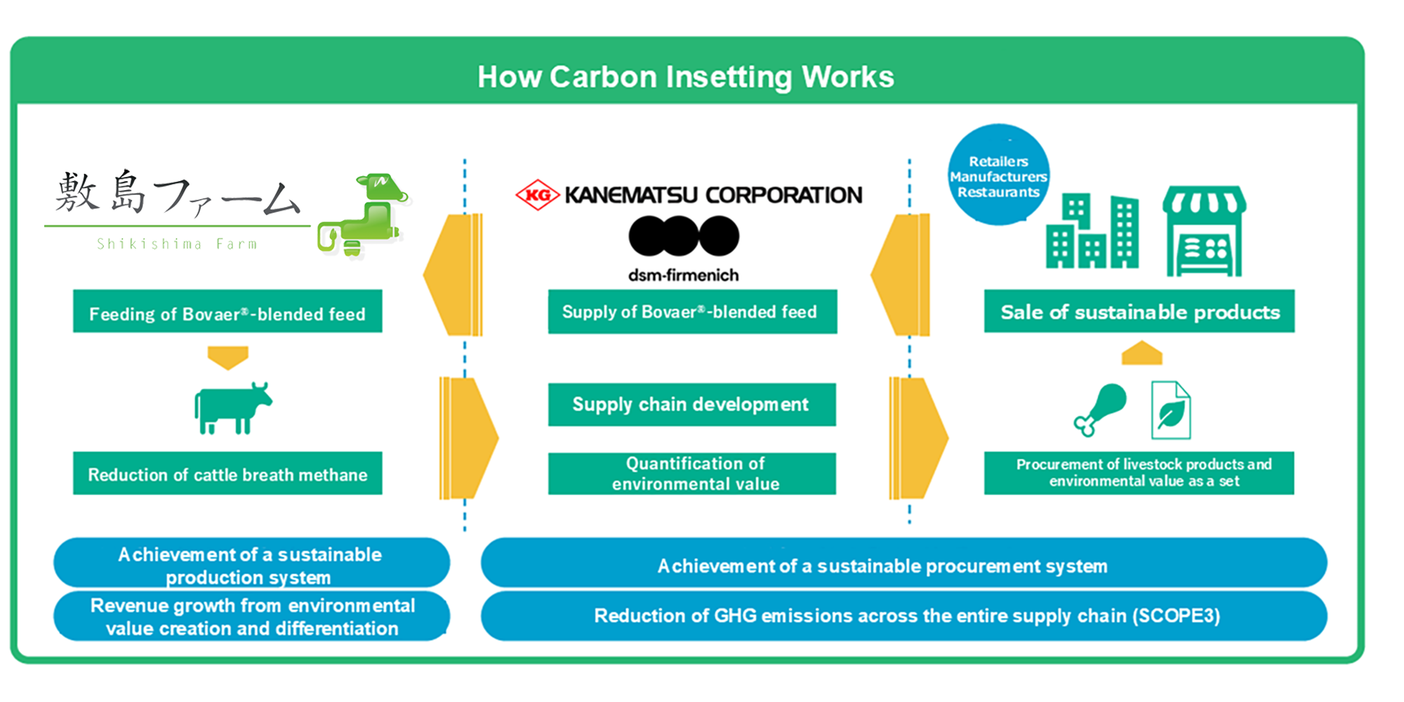 Carbon Insetting flow fig.